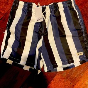 Bather Blue & Black Stripe Swim Trunk